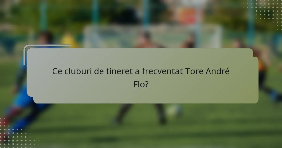 Ce cluburi de tineret a frecventat Tore André Flo?