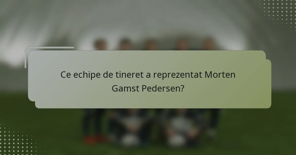 Ce echipe de tineret a reprezentat Morten Gamst Pedersen?