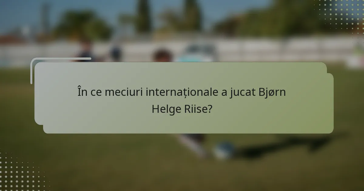 În ce meciuri internaționale a jucat Bjørn Helge Riise?